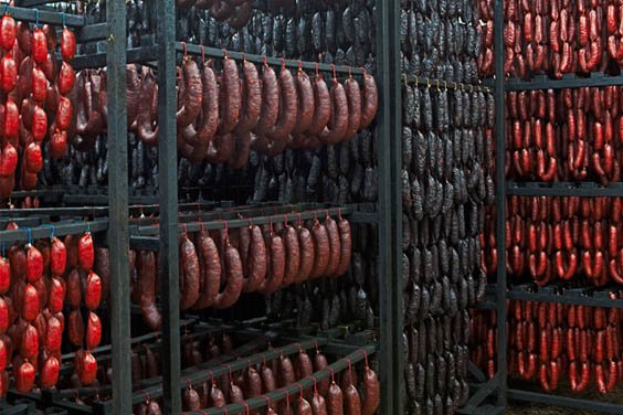 This image for Image Layouts addon