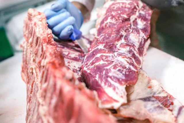 This image for Image Layouts addon